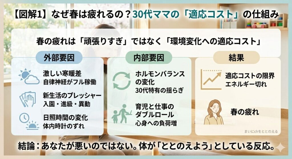 30代ママの春の疲れの原因を解説する図解。激しい寒暖差や新生活のプレッシャーなどの「外部要因」と、ホルモンバランスの変化や育児・仕事の負担などの「内部要因」が重なり、適応コストが限界に達して疲れが出る仕組みを説明。「あなたが悪いのではない」というメッセージ付き。