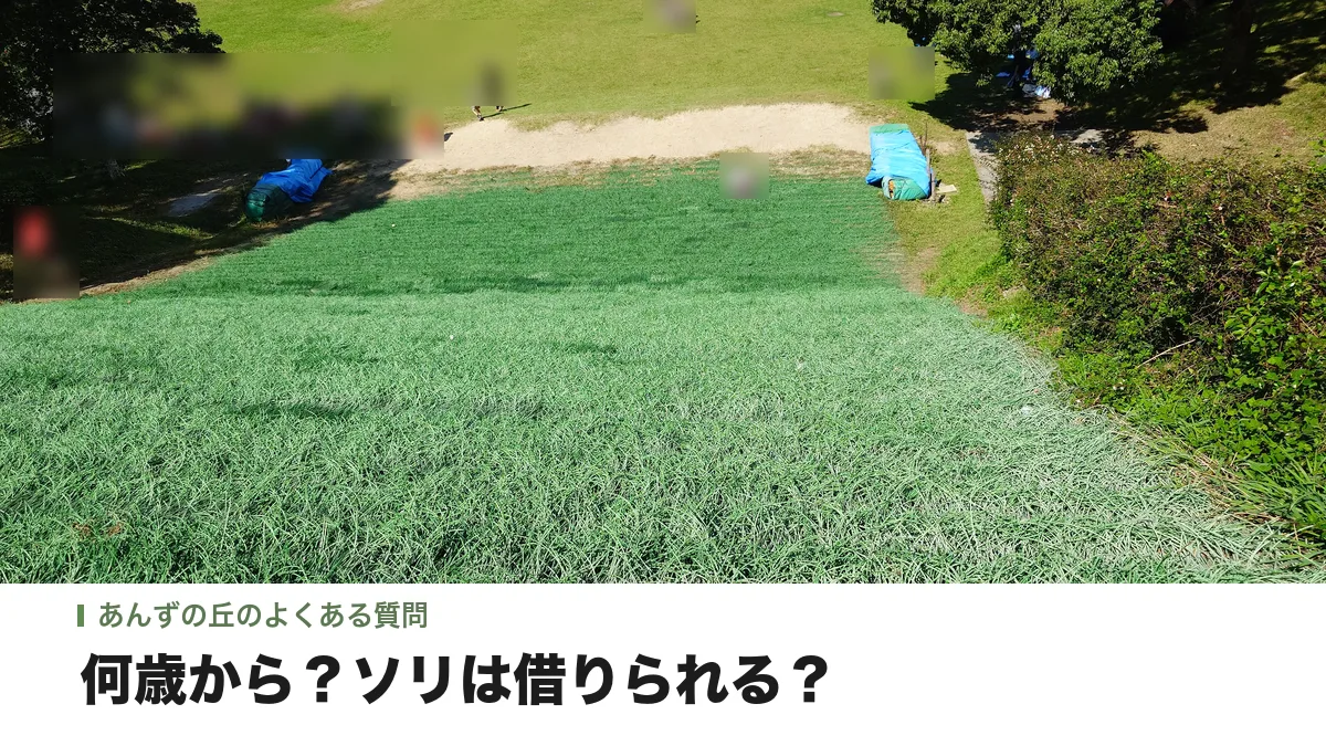 上から見下ろした、あんずの丘の人工芝すべりの坂