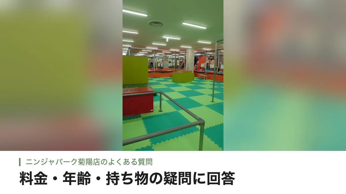ニンジャパーク菊陽店のトランポリンやアスレチックが並ぶパーク内
