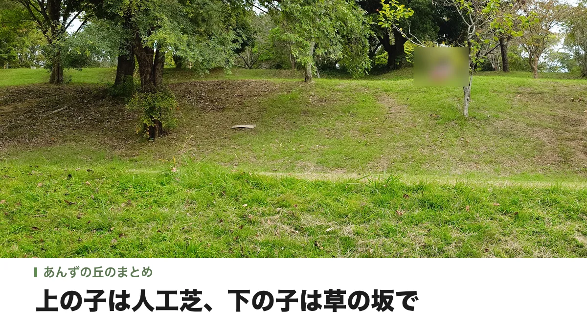 あんずの丘の木かげにある、ゆるやかな草の坂